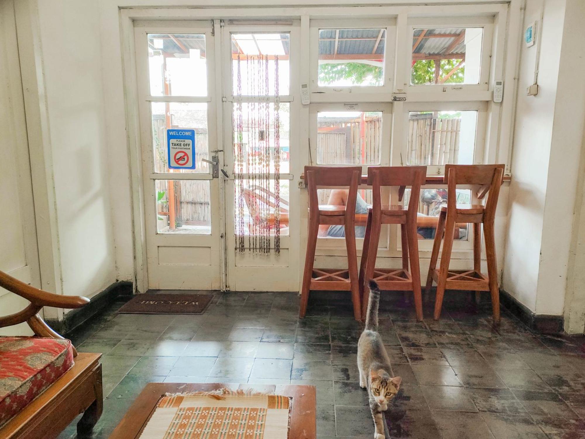 Ijen Backpacker Hostel บันยูวังงี ภายนอก รูปภาพ